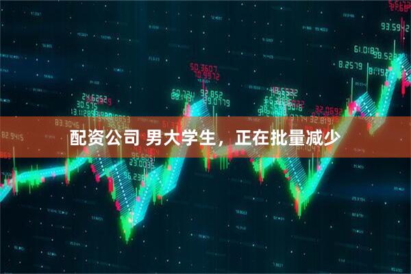 配资公司 男大学生，正在批量减少