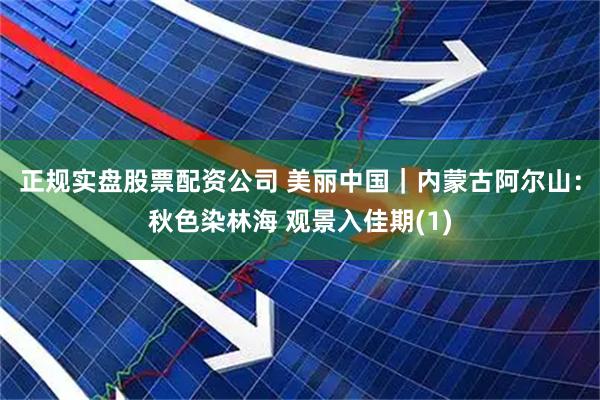 正规实盘股票配资公司 美丽中国｜内蒙古阿尔山：秋色染林海 观景入佳期(1)